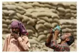 Future of jobs  modernised labour markets require social security 