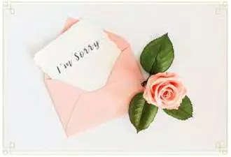 Myriad ways to express apologies 
