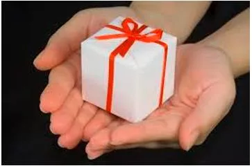 Endow - Provide with a quality, ability, or asset.