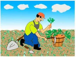 Garner  - To obtain or collect something such as information, support, etc.