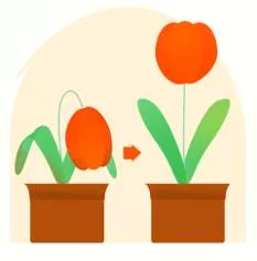 Rekindle meaning