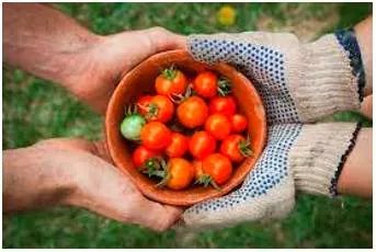 Generous - (of a thing) larger or more plentiful than is usual or necessary.