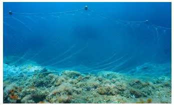 Dumped fishing gear is killing marine life  yet no governments seem to care 