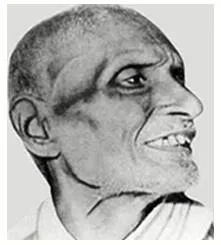 Biography  pingali venkayya 