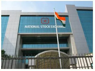 Fall of a guru  nse’s recurring problems point to a breakdown in governance that needs wider investigation