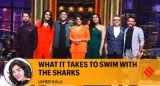 What it takes to swim with the sharks 