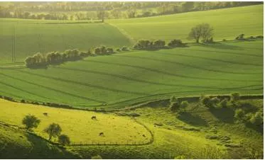 Dreaming of an escape to the country  be careful what you wish for 