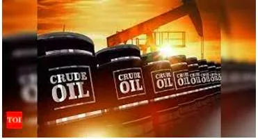 Slash fuel taxes  goi has fiscal cushion  inflation needs to be fought and consumption  supported