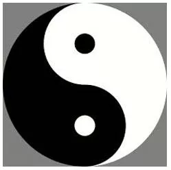 Paradox meaning