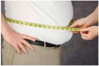 Flab meaning
