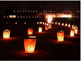 Luminary meaning