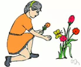 Tweaking - A fine adjustment to a mechanism or system.