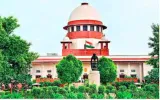 Life  limb & the law  sc’s right on liberal compensation for accident victims  but a clogged system is stacked against citizens 