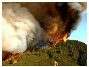 Conflagration meaning