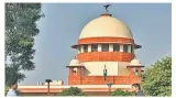 The brittle middle  sandwiched between supreme court and lower courts  high courts cannot afford to drop the ball