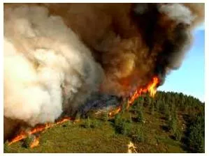Conflagration meaning