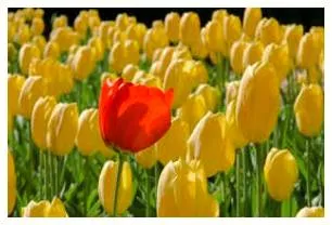Conspicuous  - Easy to see or notice.