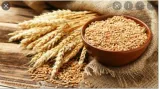 Grain of sense  goi should reverse wheat export ban  prices can be controlled by other means