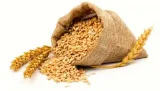 Wheat confusion  on india’s export restriction