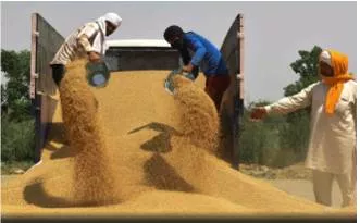 Food security does not need this ‘surgical strike’