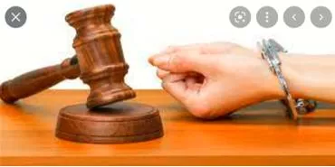 Allegation meaning