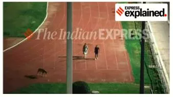 An ias couple is transferred after dog walking incident  what rules govern the conduct of senior govt officers 