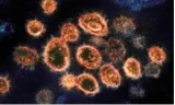 Is the covid pandemic finally nearing its end 