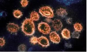 Is the covid pandemic finally nearing its end 