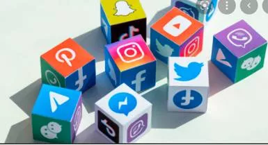 Control and delete  on government appellate panels for social media