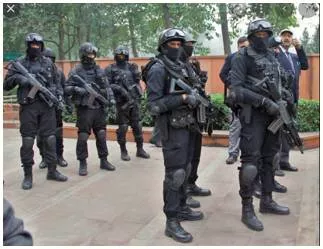Guns & bottles  hcs must not hear matters best left to govts