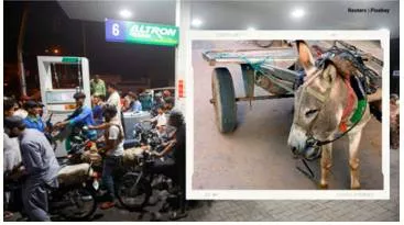 Spiralling fuel prices  internet cracks up as pak man seeks to ride donkey cart to work