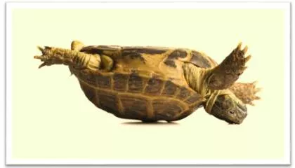 Upend  - Set or turn (something) on its end or upside down.