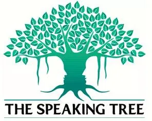 Listen to the meaning  not to the words