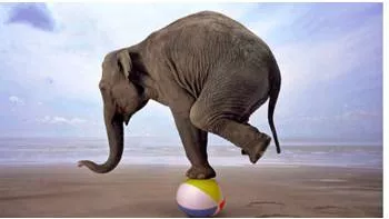 Volatility meaning