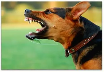 Vicious  - Serious or dangerous; cruel.