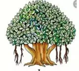 Why were vedas only passed through verbal chanting and not writing 