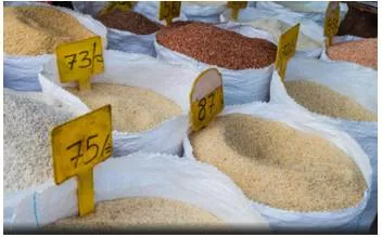 Tackling the crisis of rising global food prices