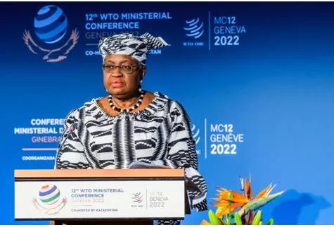 Indian interests at the wto ministerial conference