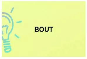 Bout meaning