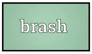 Brash  - Confident in an aggressive way