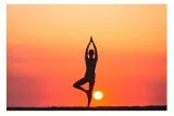 International day of yoga 2022  date  history  significance  theme set by un