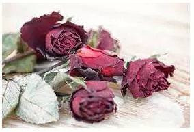 Wither - Anything that becomes weaker until it no longer exists or is no longer effective.