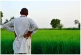 The role of caste in economic transformation