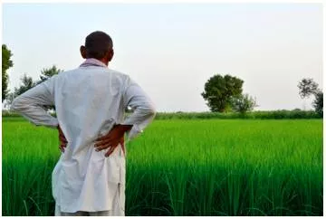 The role of caste in economic transformation