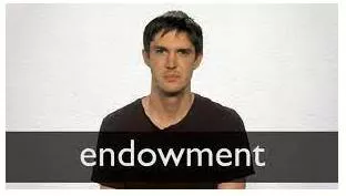 Endowment meaning