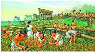 Agrarian meaning