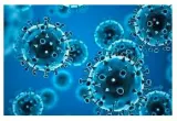 No cause for alarm  on the fresh surge in covid 19 cases
