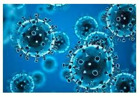 No cause for alarm  on the fresh surge in covid 19 cases