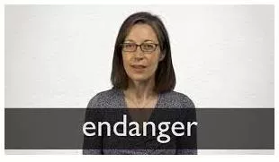 Endanger meaning