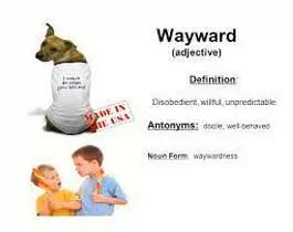 Wayward  - Difficult to control or predict because of willful or perverse behaviour.